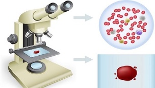 Fumar e doar sangue para probas